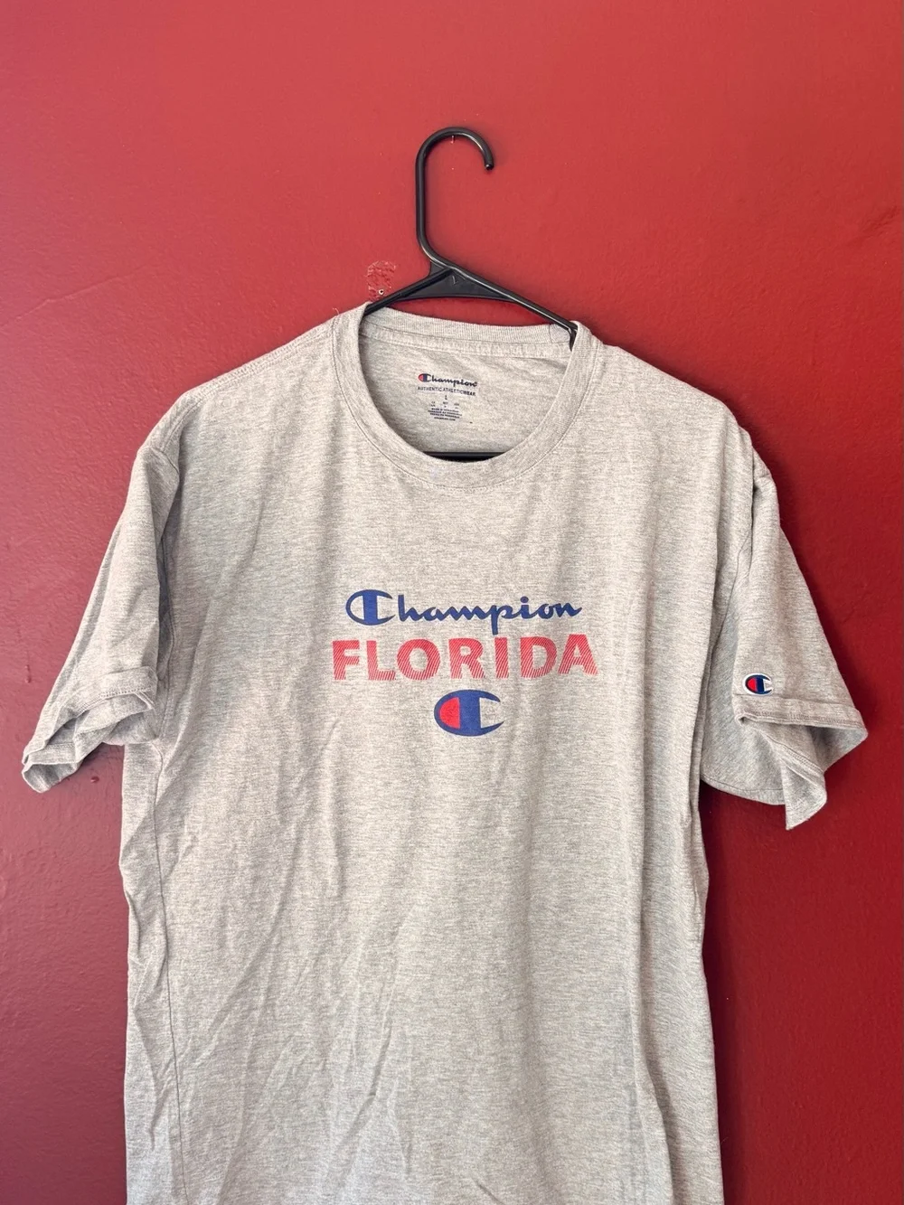 Champion Florida Graphic T-Shirt - Gray - Size L - Picture 2 of 5
